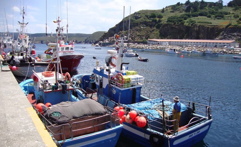 Barcos de pesca en el puerto de Malpica (Costa da Morte)